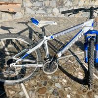 Bici Torpedo earth 595