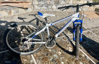 Bici Torpedo earth 595