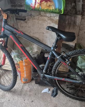 bici Mountain bike 