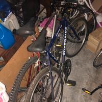 2 mtb