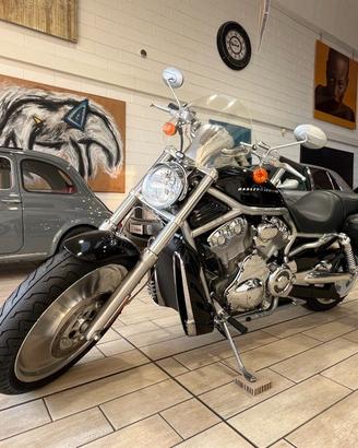 HARLEY-DAVIDSON 1130 V-ROD - VRSCA VRSCA
