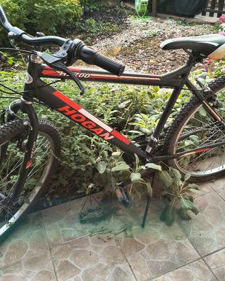 BICICLETTE 2 
