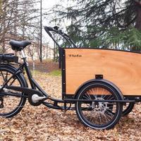 Cargo Bike Canguro 250W