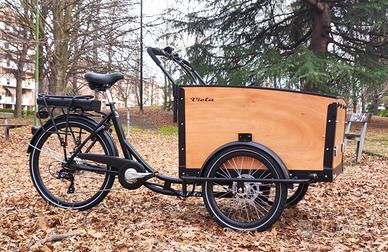 Cargo Bike Canguro 250W