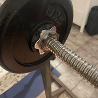 Bilancere per dischi palestra