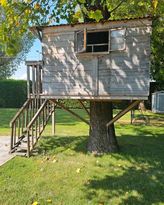 Casetta sull albero