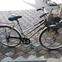 Colnago Campagnolo uomo-donna  ITALIA90