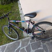 Bicicletta Mountain bike