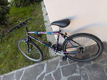 Bicicletta Mountain bike