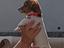 Immagine 3