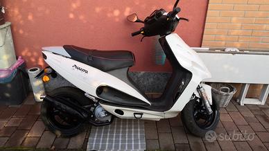 Malaguti phantom f12 50 twin disk