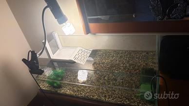 Tartarughiera/acquario