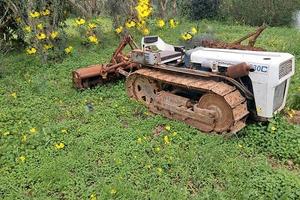 Trattore Lamborghini  cingolato  modello C230