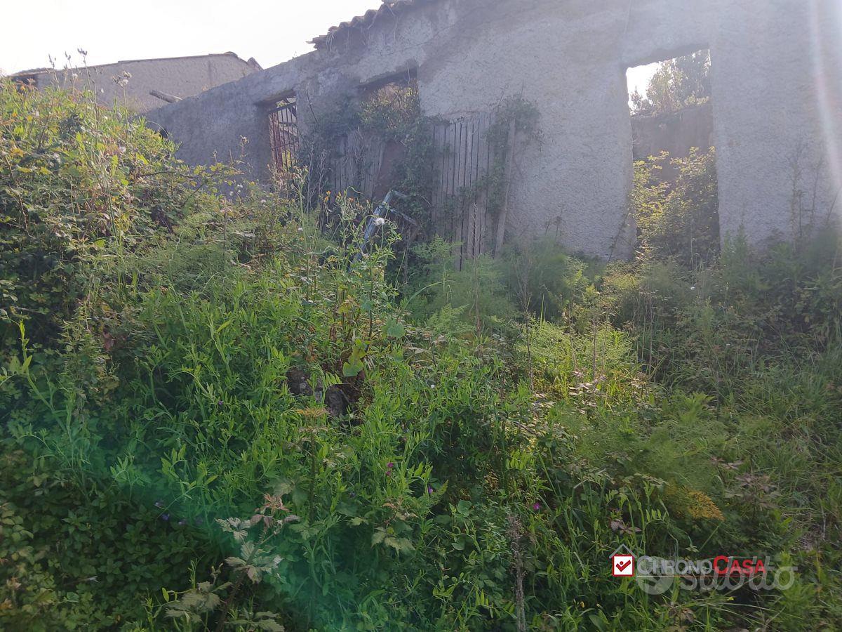 Piano Torre, ampio terreno e fabbricato - Vista 3