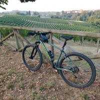 bici mtb 29 specialized