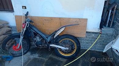 trial 