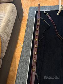 Attrezzatura cavalli