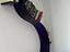 Immagine 2