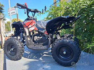 MINI QUAD 50cc 2 TEMPI RUOTE 6" RENEGADE