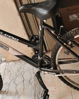 Bicicletta