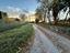 Immagine 18