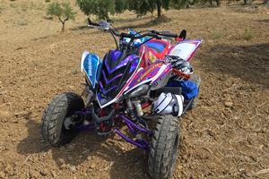 Yamaha raptor 700