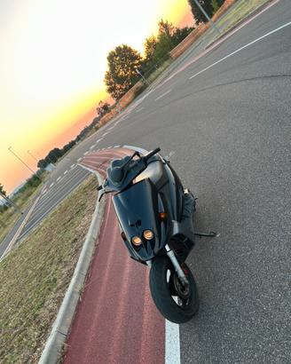 Malaguti Phantom F12 50 LC - Doppio Disco - Euro 2