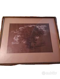 Quadro antico 1884 paesaggio con Albero