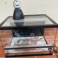 Teca per rettili