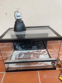 Teca per rettili