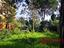 Immagine 25
