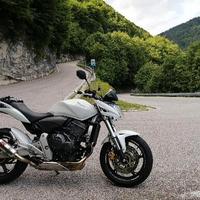 Honda Hornet - 2008