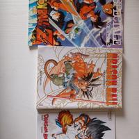 Book illustrazioni Dragon ball.