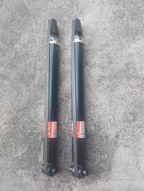 ammortizzatori posteriori grande punto