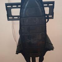 paraschiena
