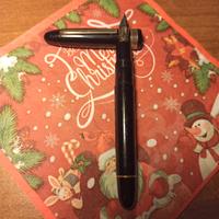 Penna stilografica Omas Extra 