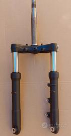 sh 150 forcella 2024