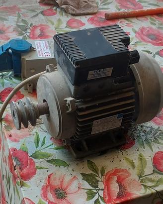Motori elettrici 