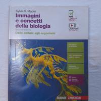 Libro per Liceo