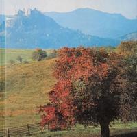 Guida turistica dell'Ungheria in francese