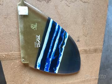 Varie pinne surf longboard singlefin