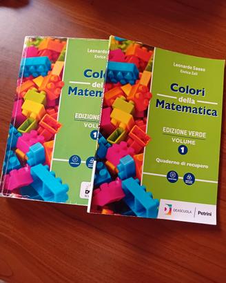 Colori della Matematica vol.1+quaderno recuper