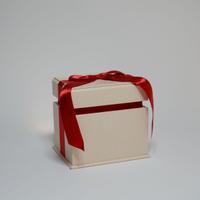 Scatola Orologio Omega