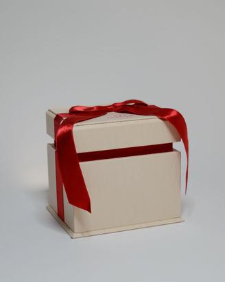 Scatola Orologio Omega