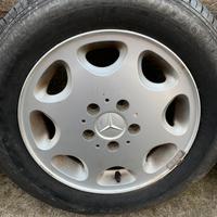 Cerci mercedes