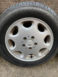 Cerci mercedes