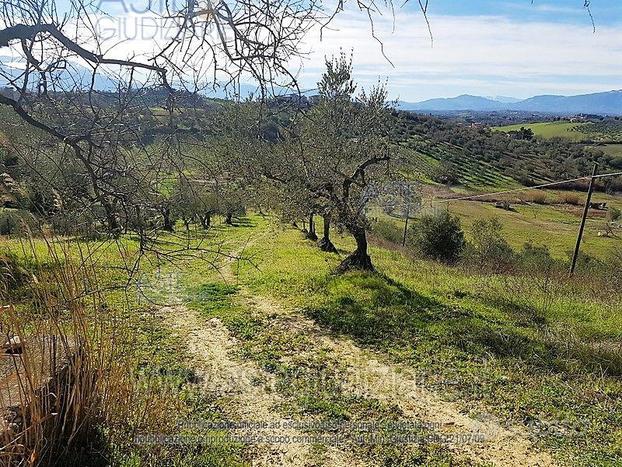 Terreno Agricolo Spoltore [A1458572]