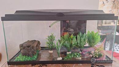 Acquario + accessori