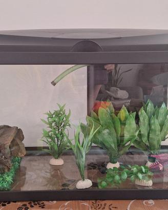 Acquario + accessori