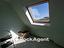 Immagine 18